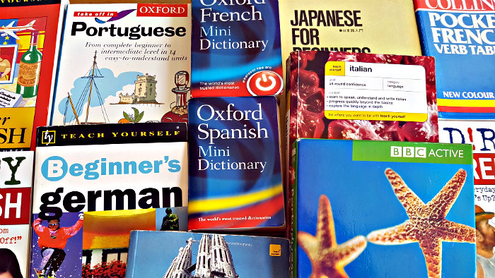 You can travel around the world without knowing foreign languages.