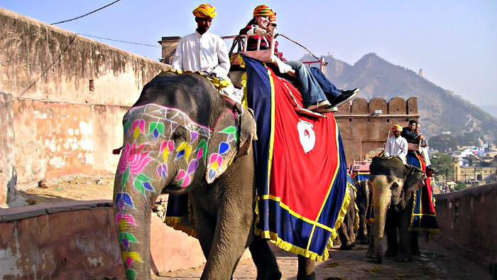 Tourists get a chance to ride elephants in Jaipur, India.