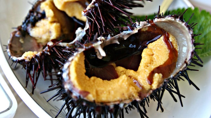 Kina in New Zealand is a popular delicacy.